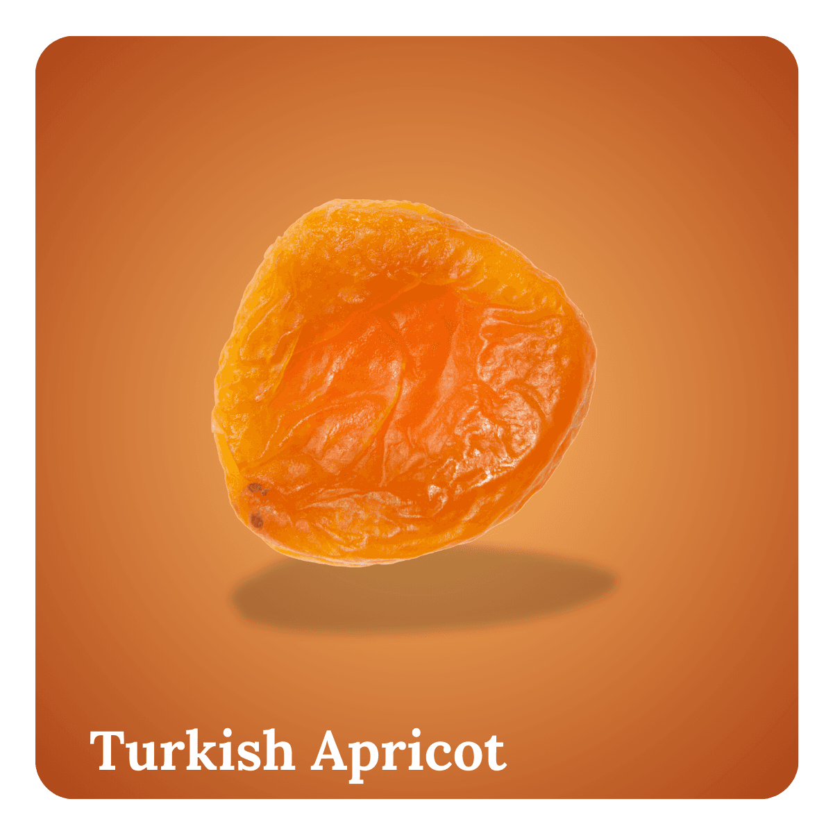 Dried Turkish Apricots (Turkil)