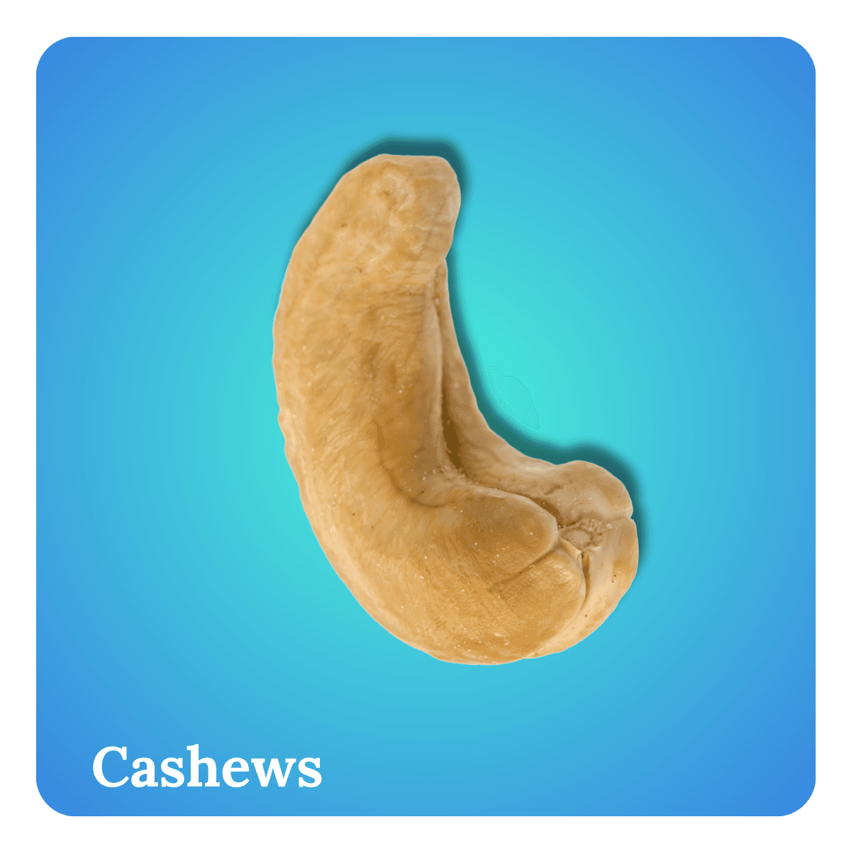 Cashews (Kaju)