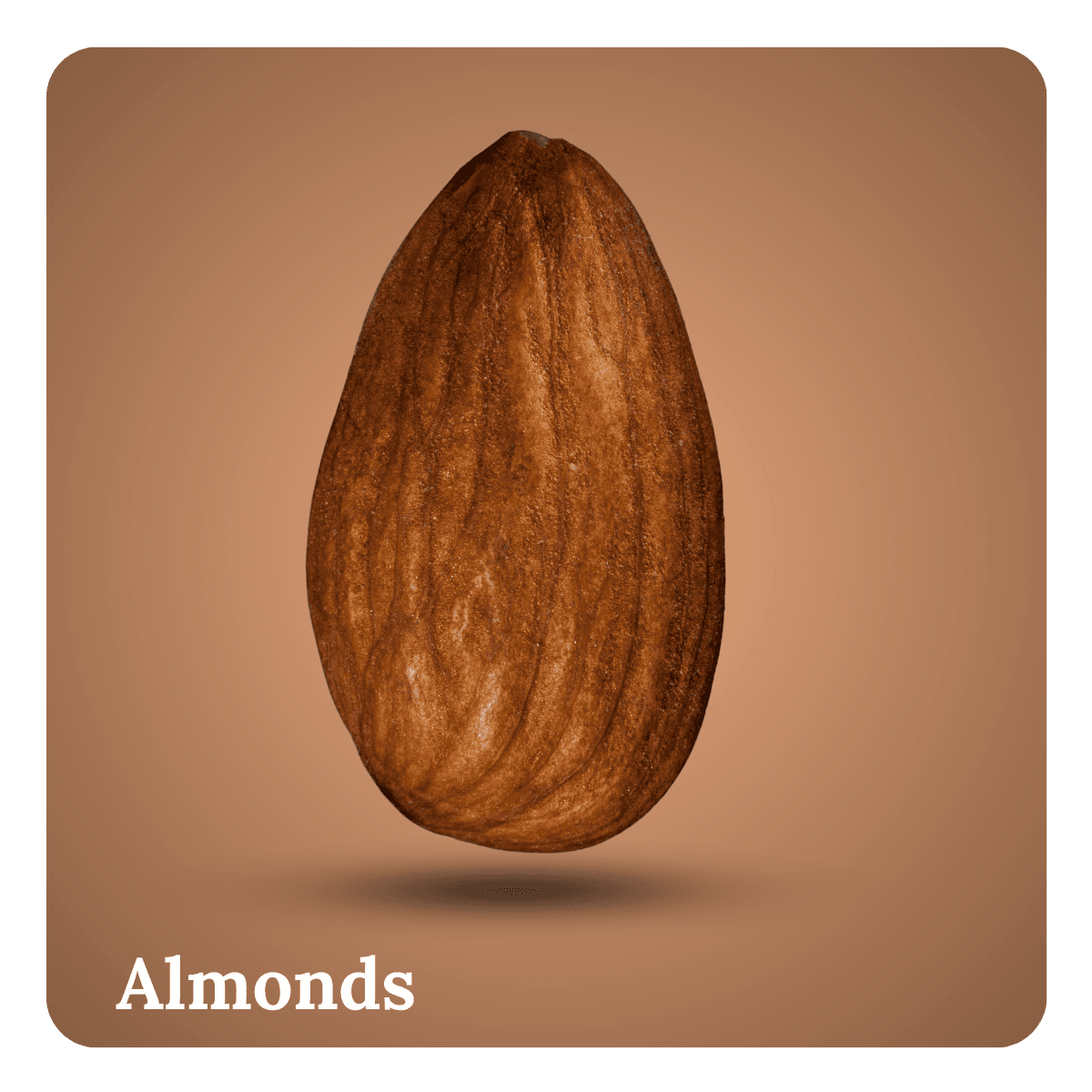 Almonds (Badam)